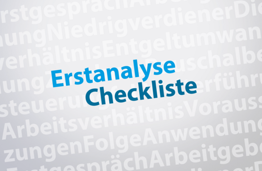 Wissensvorsprung: Erstanalyse. Die Checkliste für das Erstgespräch beim Arbeitgeber